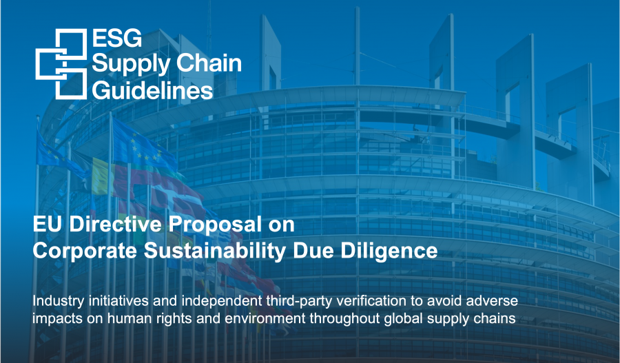Insights from the European Commission Directive Proposal on Corporate Sustainability Due Diligence